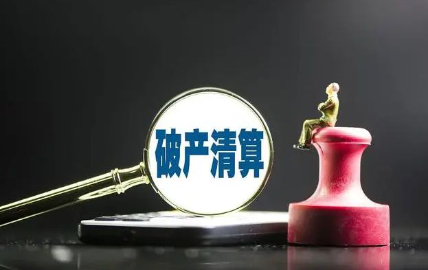 宜賓三家公司步入破產(chǎn)清算程序 專業(yè)服務(wù)護(hù)航市場(chǎng)出清