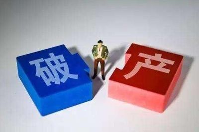 破產(chǎn)清算 條件、流程與賠償順序解析